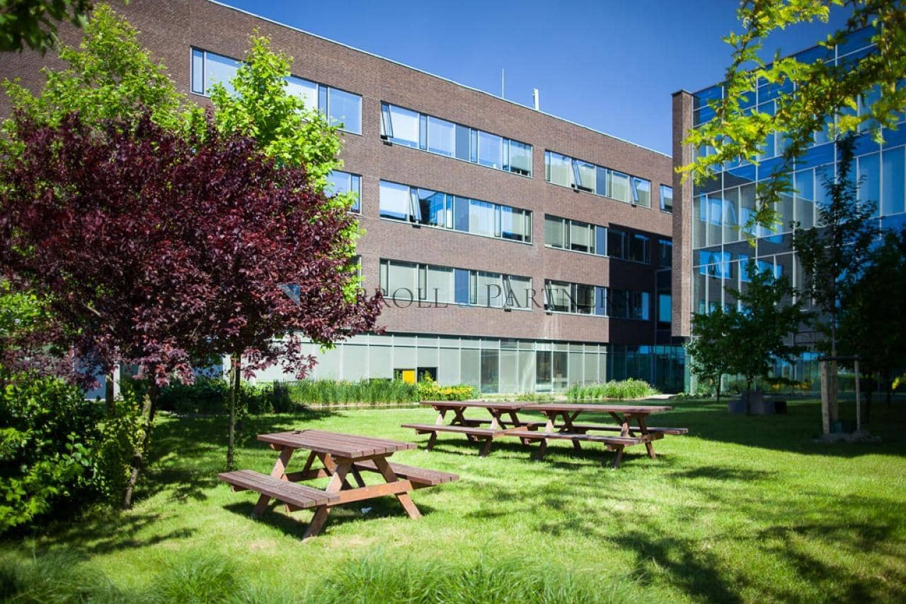 CTOffice-2.jpg